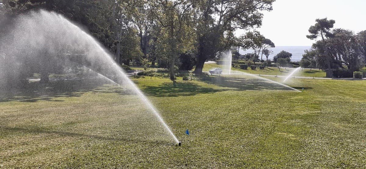 Ondata di caldo a Genova, ASTer chiarisce: "Le piante soffrono le alte temperature, non solo la mancanza d'acqua"