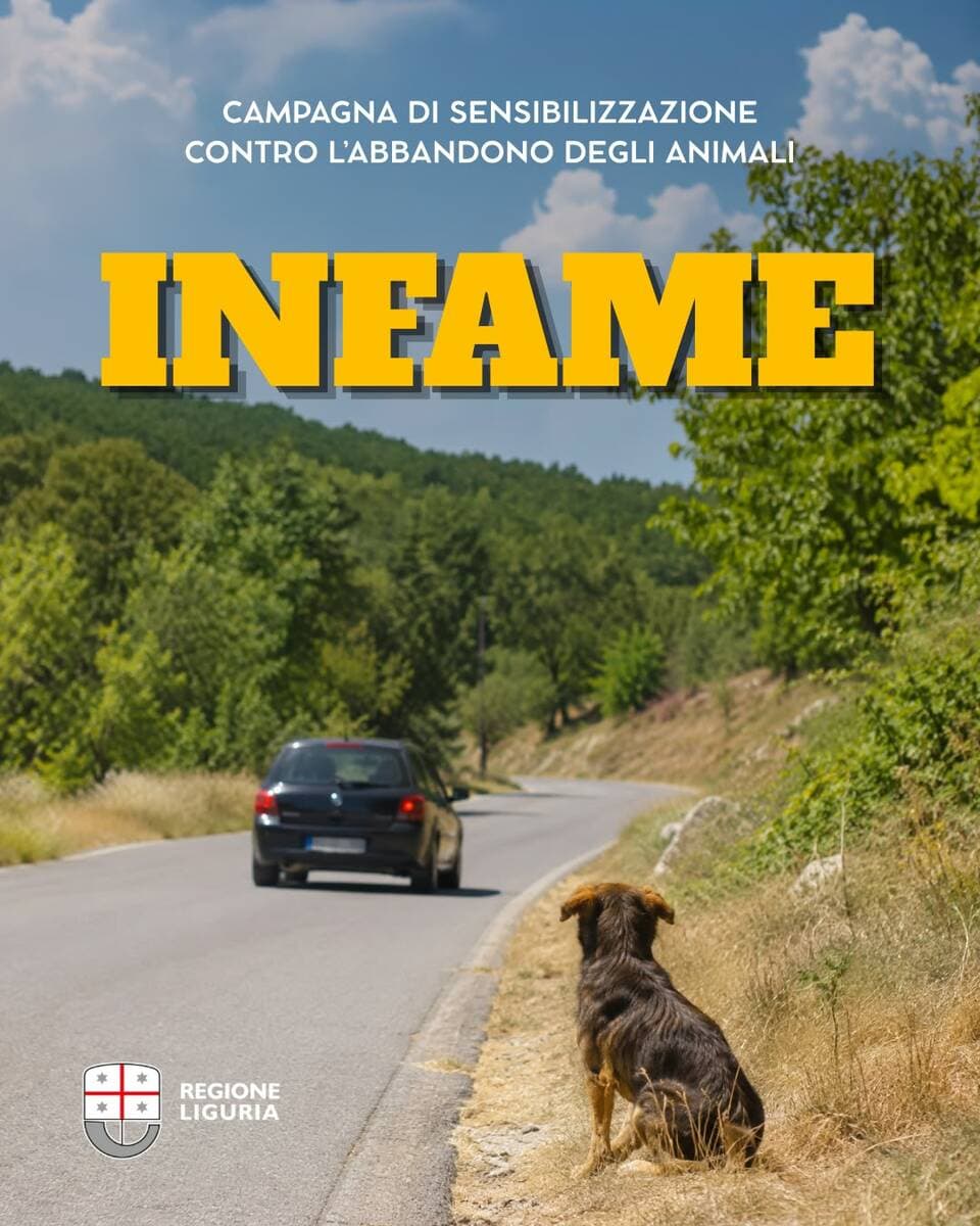 Regione Liguria lancia una nuova campagna social per contrastare gli abbandoni di animali