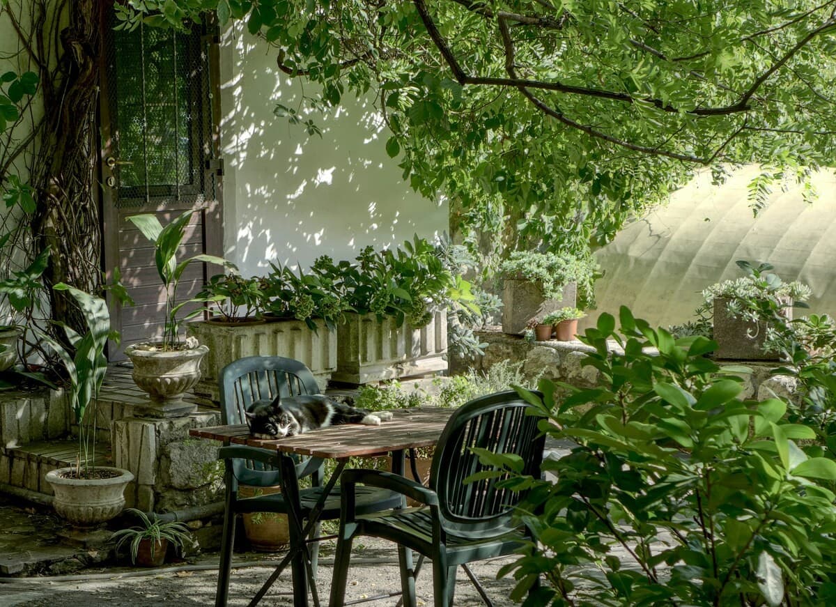 La cura del giardino a fine estate: come proteggere i fiori settembrini dai parassiti d'autunno