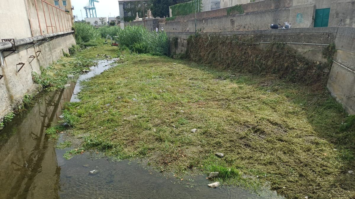 Torrenti, manutenzione in tutta la città: oltre 2 milioni per preparare Genova alle piogge autunnali
