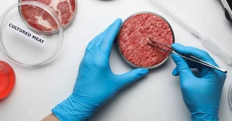 Carne coltivata, Coldiretti Liguria: "Bene lo stop ai nomi ingannevoli, più tutele per agricoltori e allevatori"