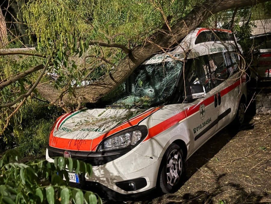 Grosso ramo cade su un mezzo della Croce Verde Quarto: danni ingenti, nessun ferito