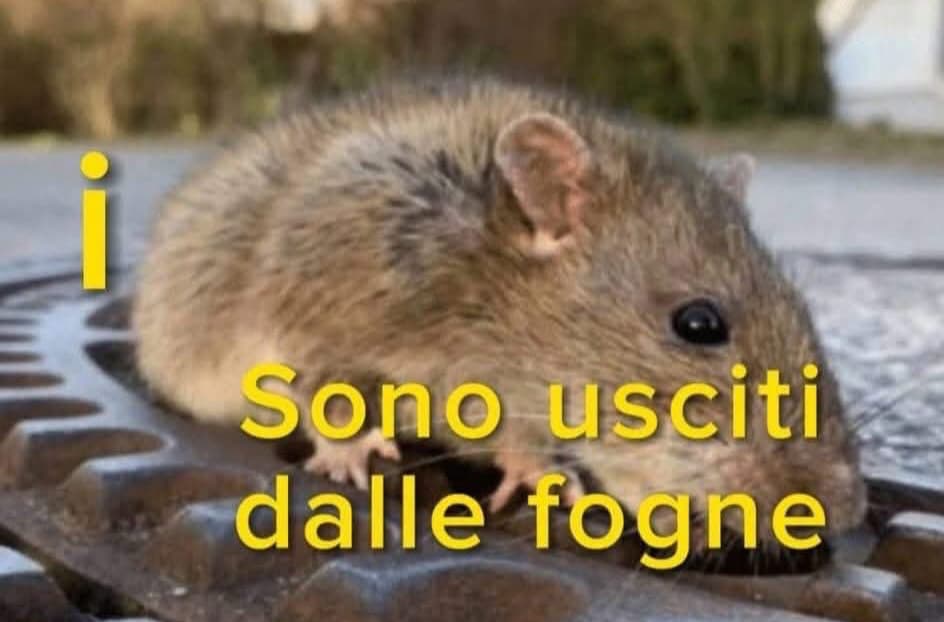 Caso Gibelli, il centrodestra torna all’attacco: “La consulente va rimossa subito”