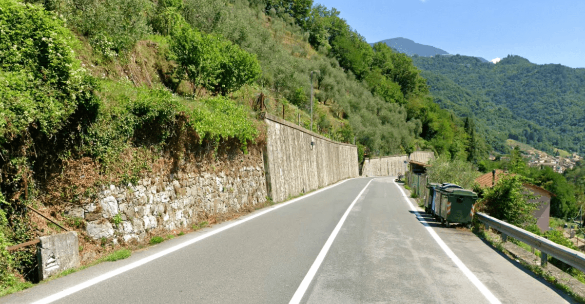 Maltempo in Val d'Aveto: cadono due alberi a Borzonasca, senso unico alternato sulla Statale 586