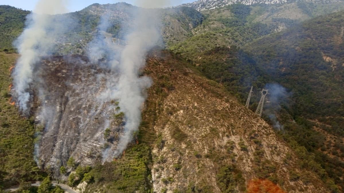 Incendi boschivi, raffica di controlli dei Carabinieri Forestali: 7 sanzioni per 70mila euro