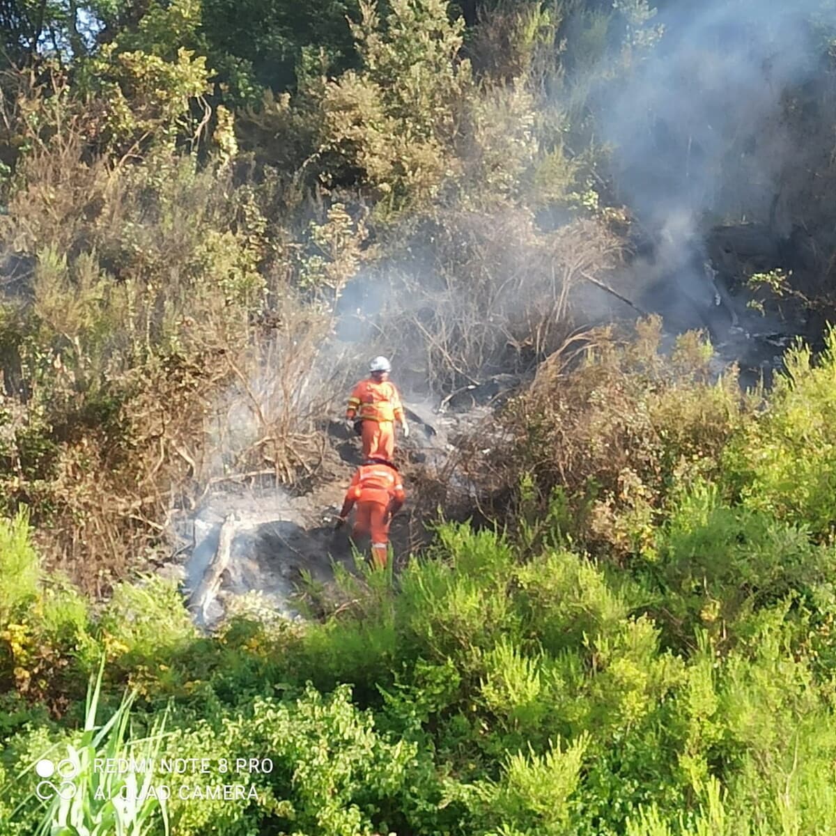 Protezione civile ligure in missione in Calabria: volontari della regione in prima linea nella campagna antincendio boschivo