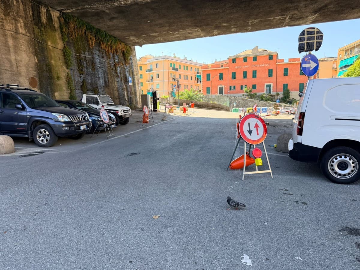 Infrastrutture a Genova, è allarme: il 39% dei ponti è in classe di attenzione alta o medio-alta