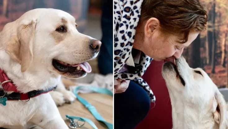 Premio Fedeltà del cane, il “Primus inter pares” a Joy: con la sua insistenza ha portato Barbara a scoprire un tumore al pancreas