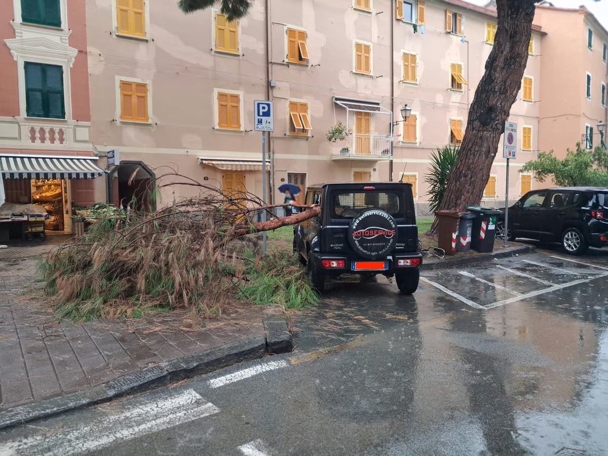 Maltempo, cade un ramo di pino a Riva Ponente: danneggiata un'auto parcheggiata