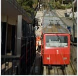 Funicolare Zecca-Righi: sospensione temporanea del servizio giovedì 24 settembre per manutenzione del verde