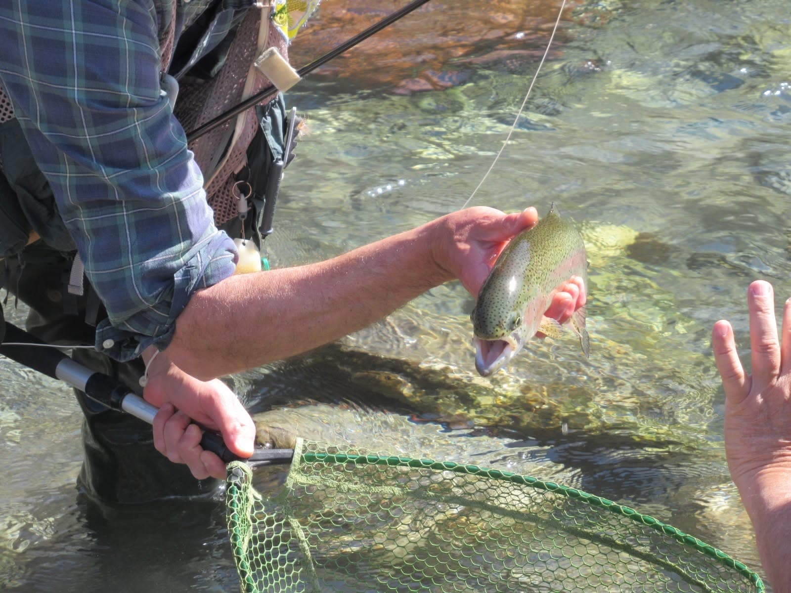 Gorreto, la riserva sul Trebbia torna a crescere: "Pescatori da tutta Italia e dall'estero"