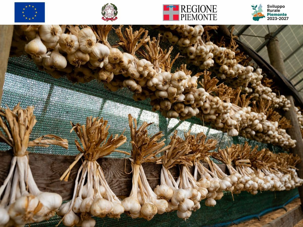 COMPA, la Compagnia dei Sapori Piemontesi, a Barolo si racconta l’eccellenza delle filiere corte