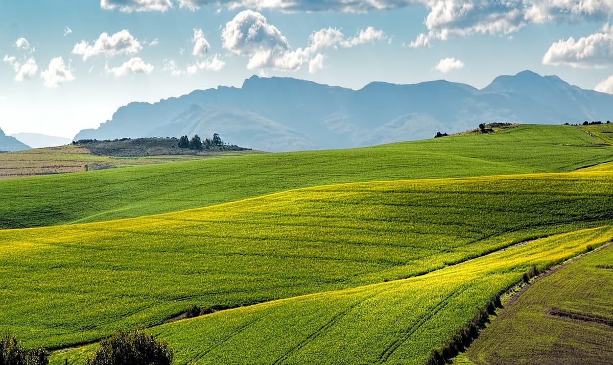 Agricoltura, Regione Liguria apre una nuova finestra fino al 23 settembre per due bandi da oltre 24,4 milioni