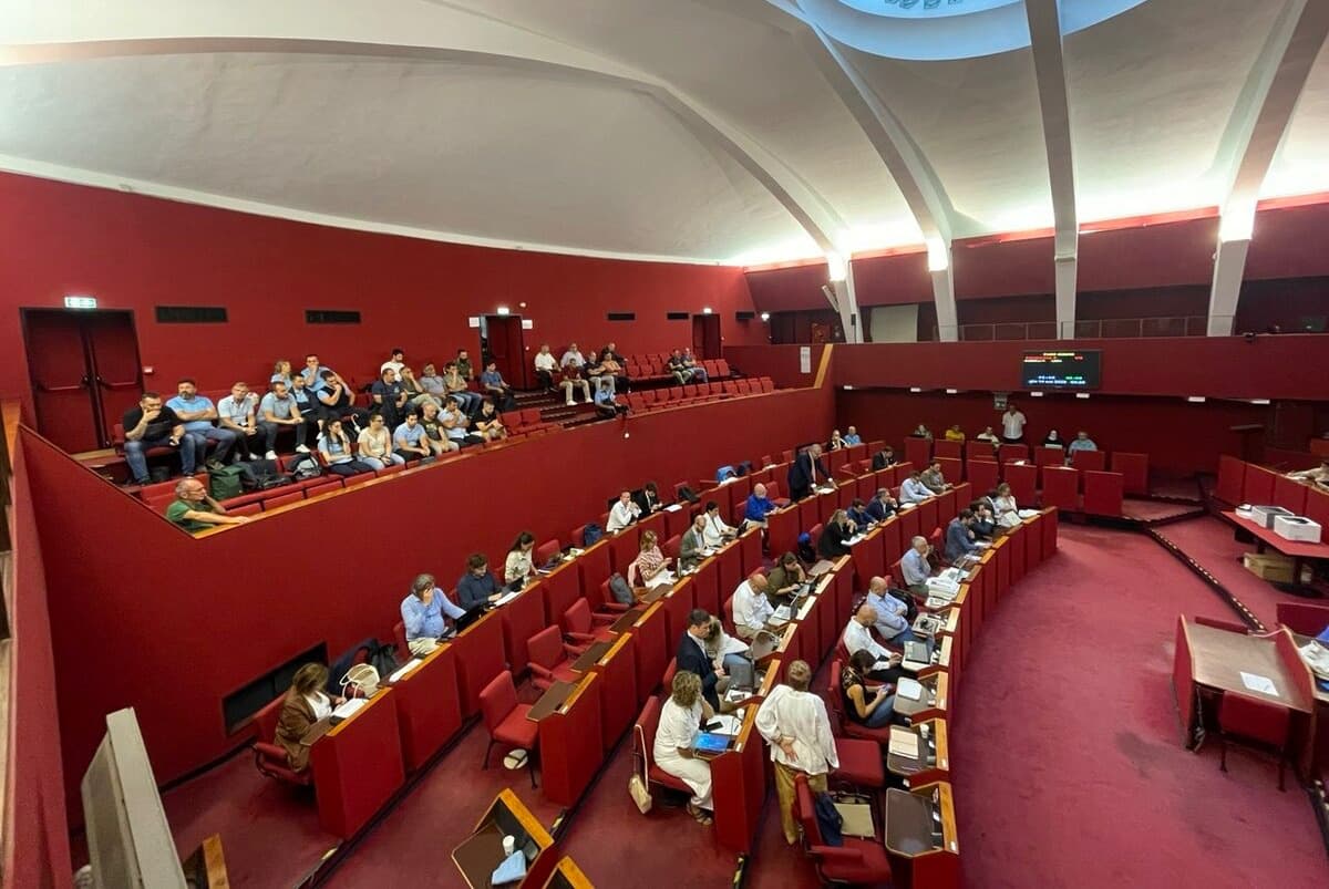 WWF escluso dalla commissione su Amt, associazioni all’attacco: “Gravissimo precedente: non è mai successo"