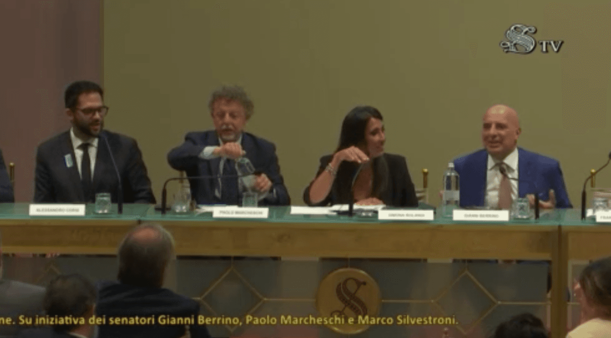 Calcio, FdI porta il dibattito in Senato: “Raccontarlo con etica, senza perdere i valori autentici”