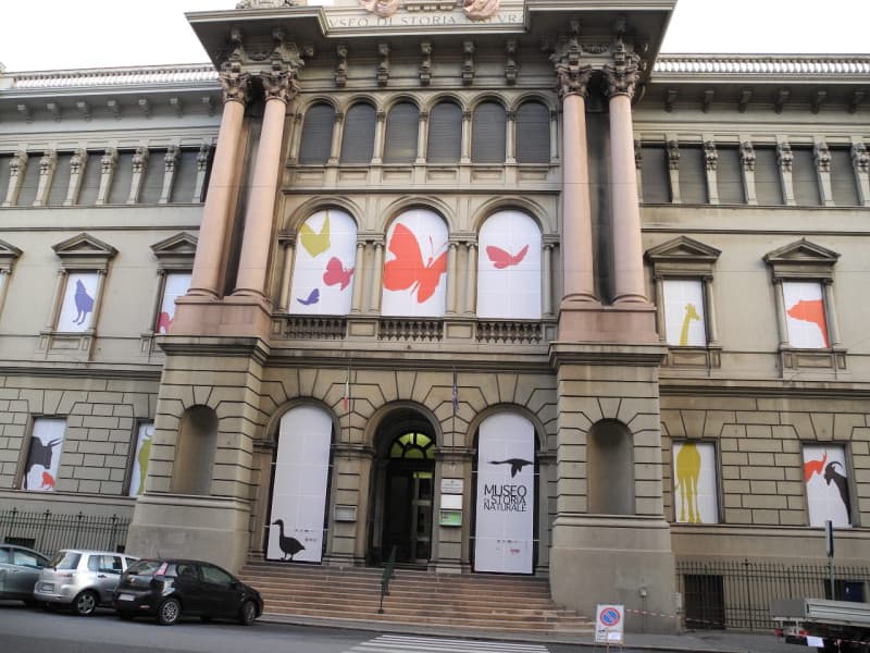 Cultura, il Museo Doria svela i suoi erbari storici: un viaggio tra scienza, innovazione e patrimonio