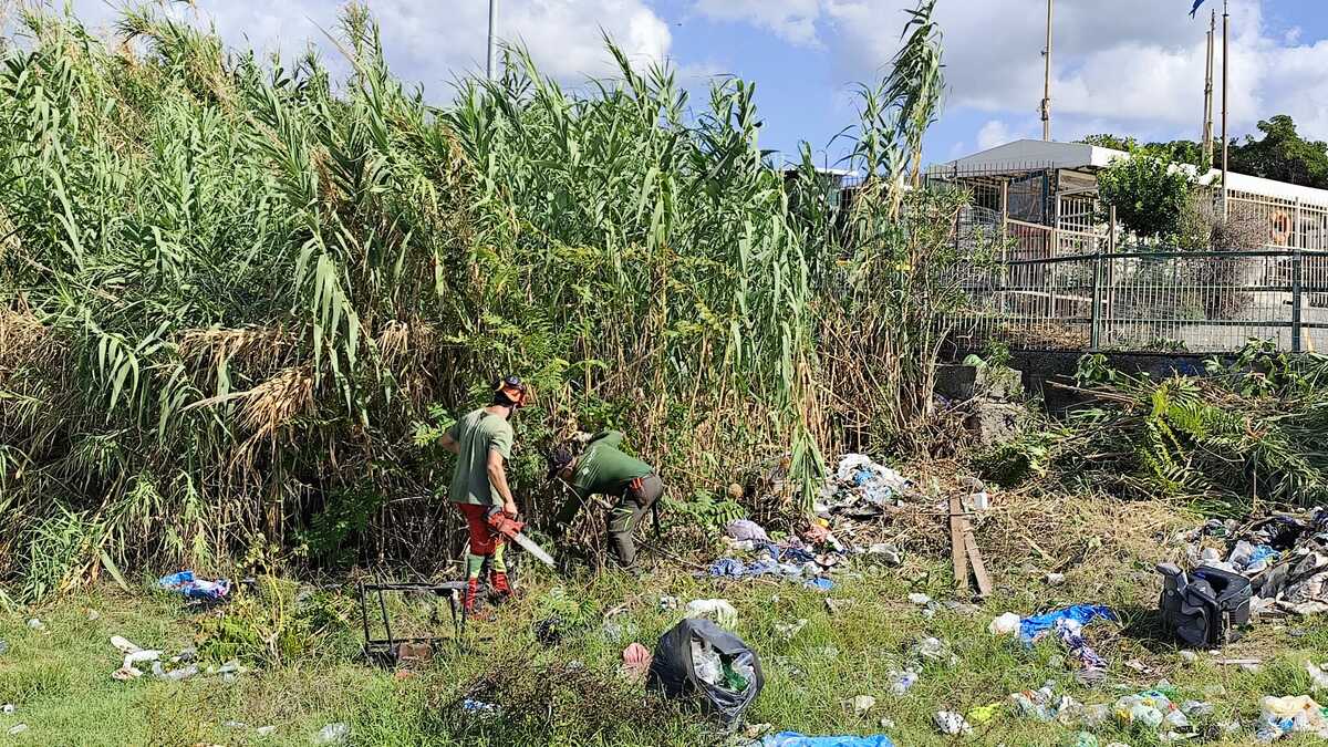 Multedo, sono partiti gli interventi di bonifica del litorale 