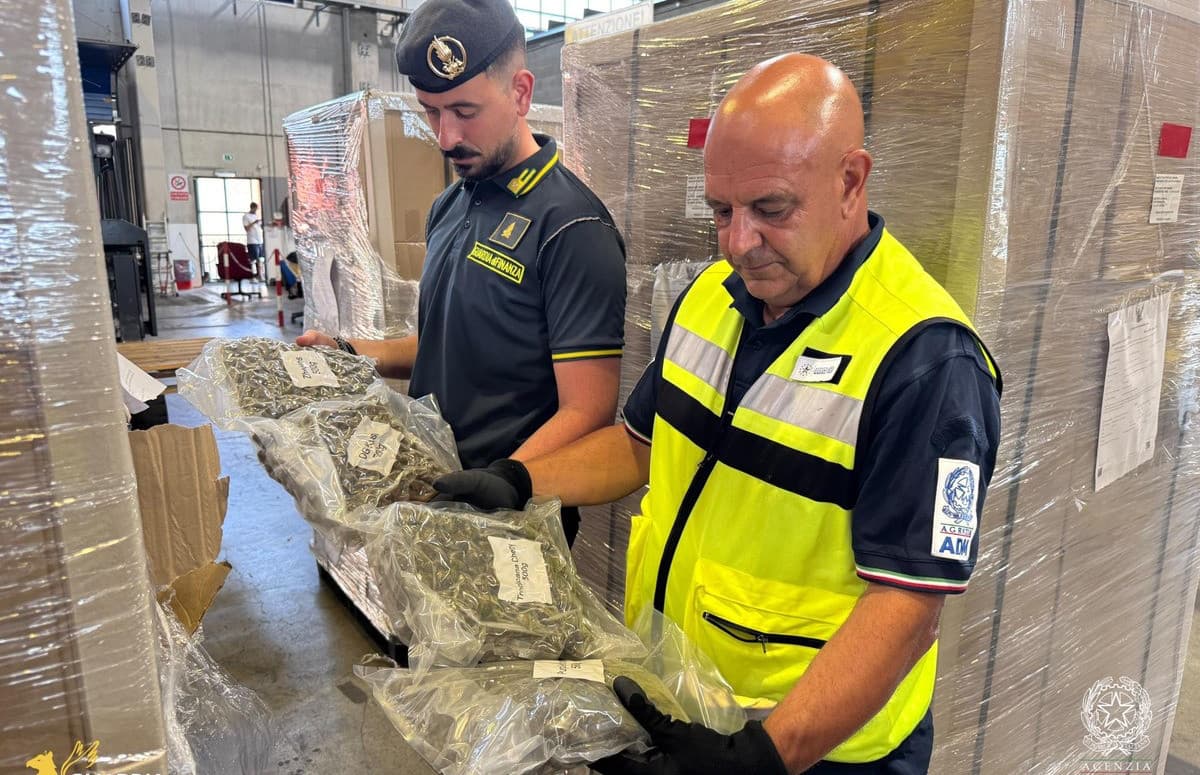 Marijuana nascosta in un container di frutta disidratata, maxi sequestro al porto di Pra': trovati 770 chili
