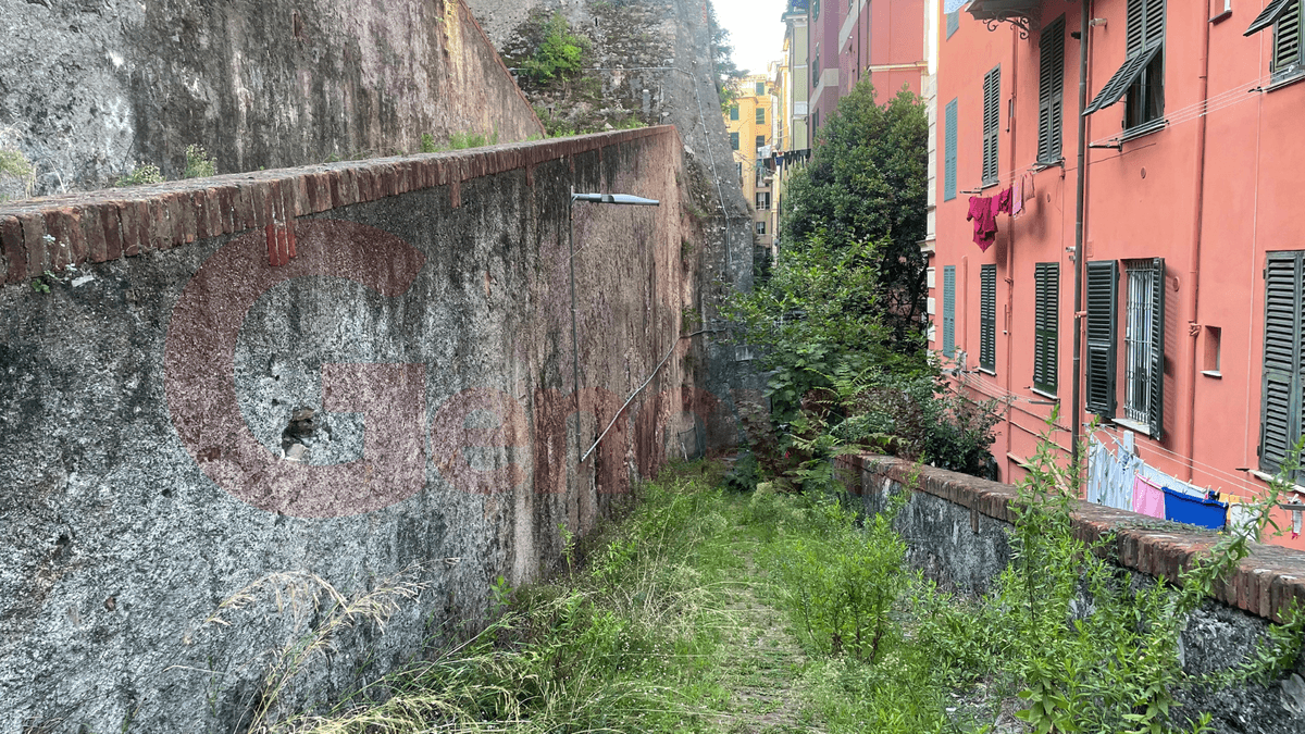 Castelletto, tra creuze sbarrate, muri a picco ed erbacce: passeggiata nella città transennata