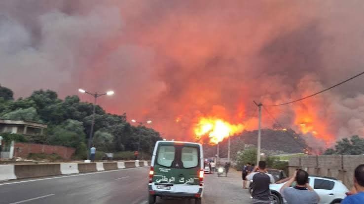 Algeria, incendi forestali catastrofici: almeno 69 vittime e numerosi feriti
