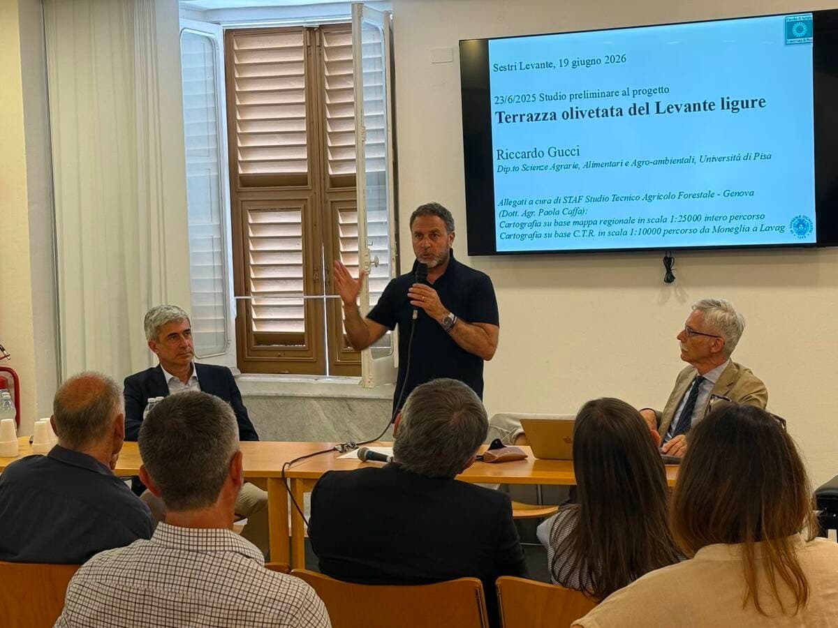 Sestri Levante, nasce la "Terrazza Olivetata": un maxi-percorso di 250 km tra borghi e frantoi del Levante